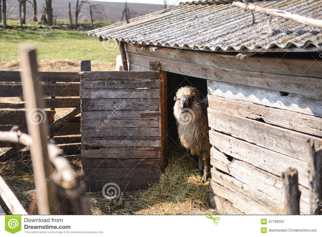 星空体育app下载