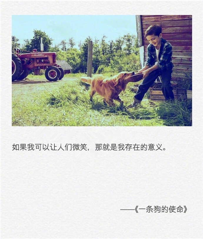 星空体育APP网站