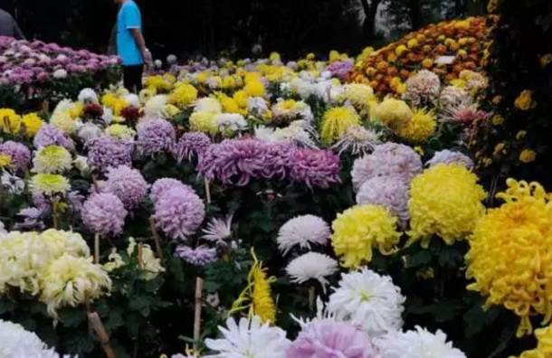 星空体育app下载|北京节能改造老小区免费安装温控阀(图1) 星空体育app下载