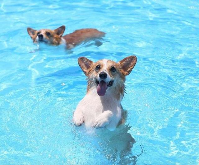 星空体育app下载-2012年冬季青年奥运会吉祥物选定(图2) 星空体育app下载