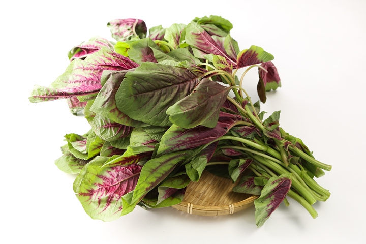 星空体育APP网站