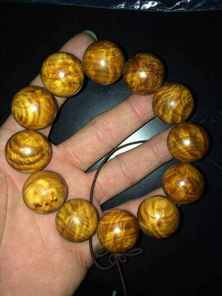 星空体育APP网站