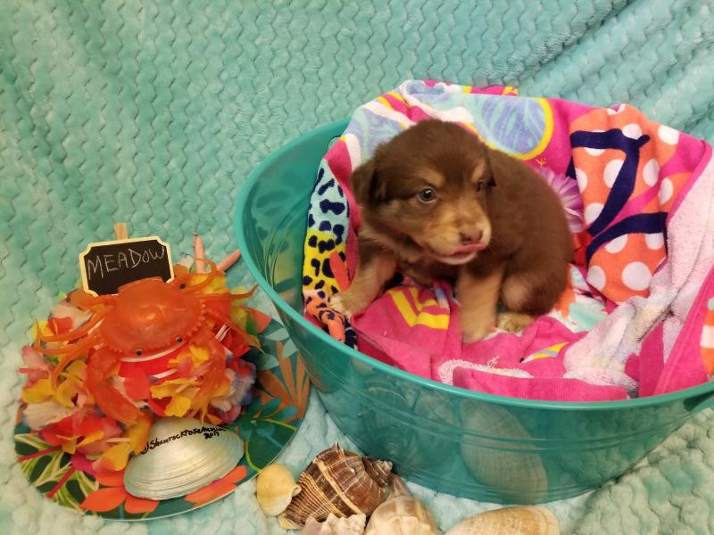 星空体育app下载