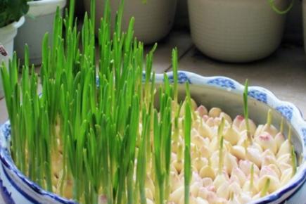 星空体育APP网站