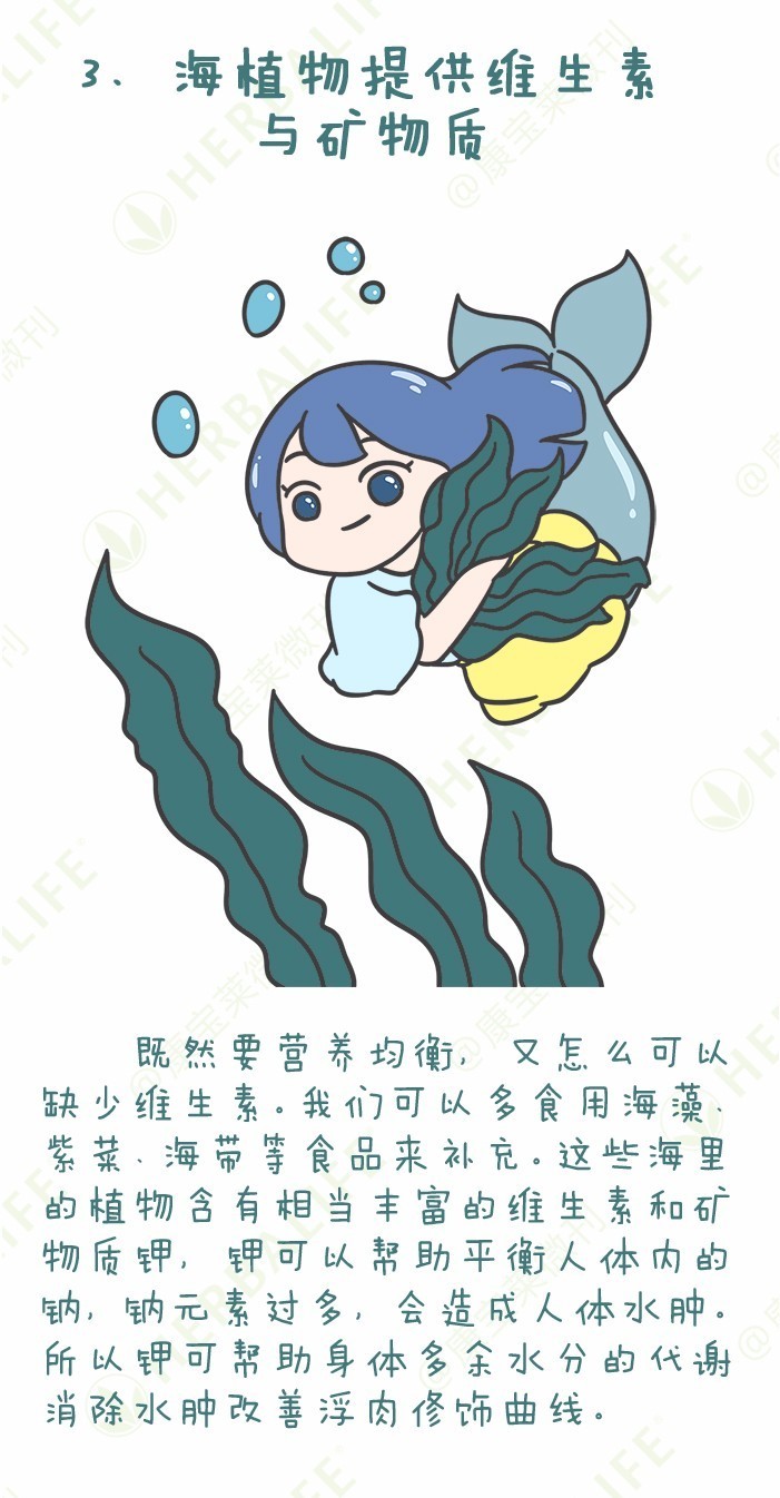 星空体育APP网站