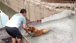 星空体育APP网站-
app工程师曝光如何简朴制作app(图5) 星空体育APP网站