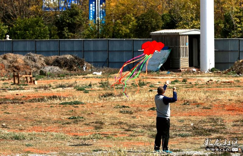 【星空体育app下载】《龙珠:超》第93集情报:弗利萨化身天使成悟空战队第十人(图3) 星空体育app下载