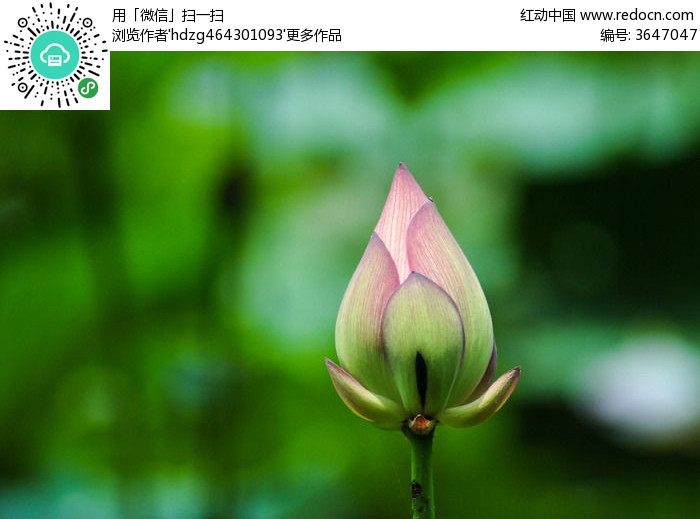 星空体育app下载