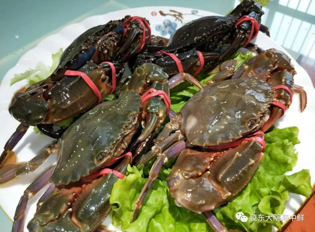 星空体育app下载