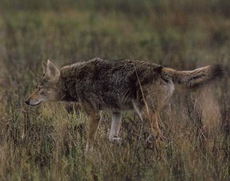 星空体育app下载