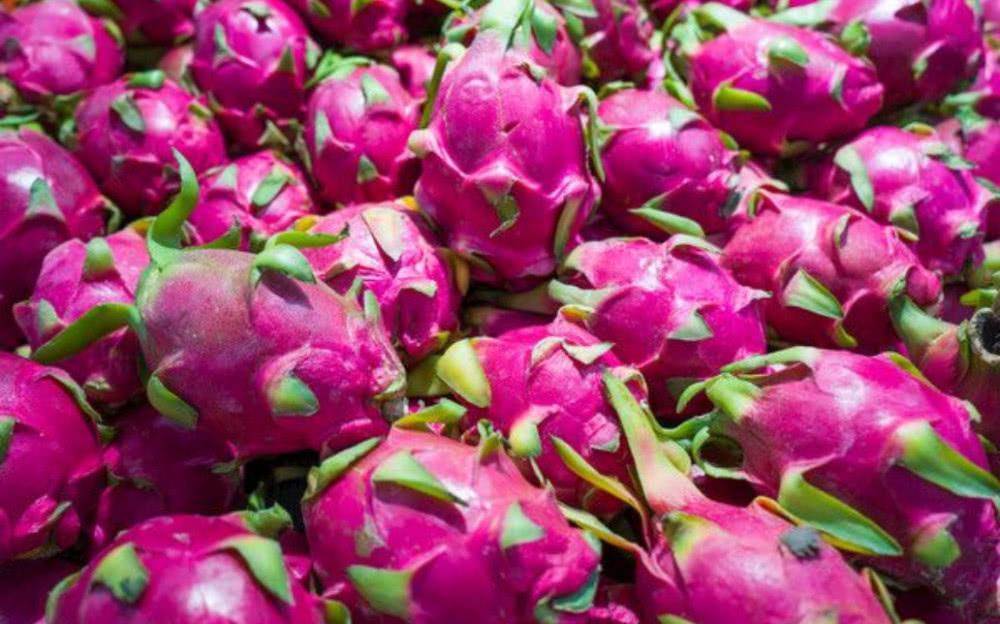 星空体育app下载