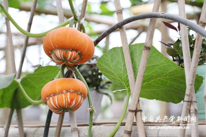 星空体育app下载