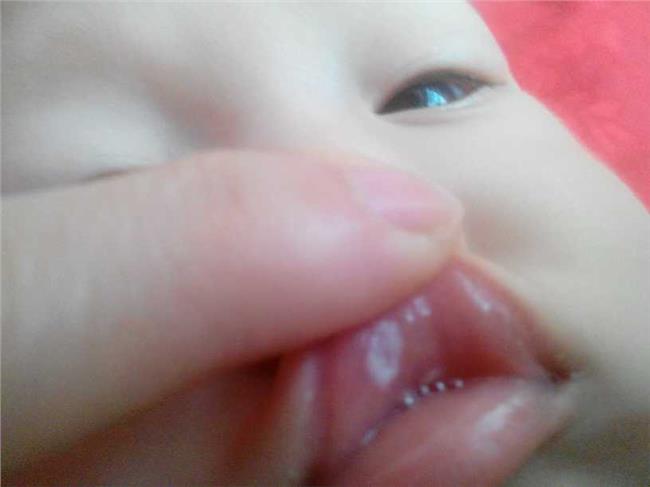 「夏目友人帐」制作组遭遇危机?!下周起将放送特别篇“星空体育APP网站”(图4) 星空体育APP网站