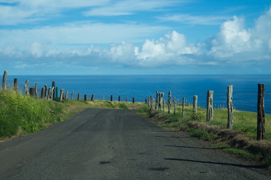 “星空体育APP”《岸边露伴一动不动》PV公开 JOJO的奇妙OVA(图1) 星空体育APP网站