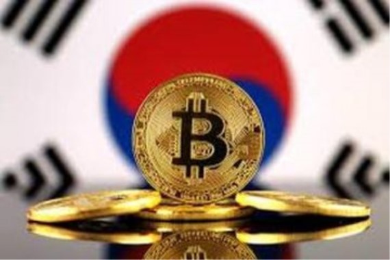 星空体育APP网站