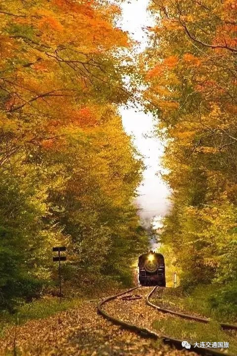 星空体育APP网站