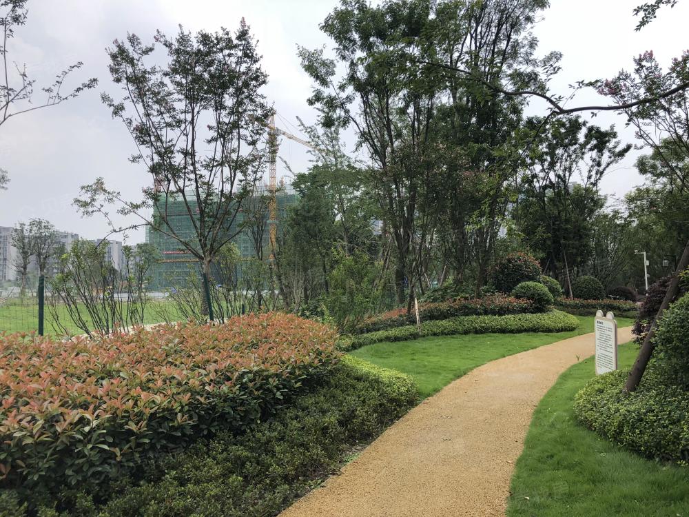 星空体育app下载