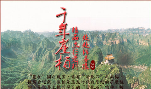 星空体育APP